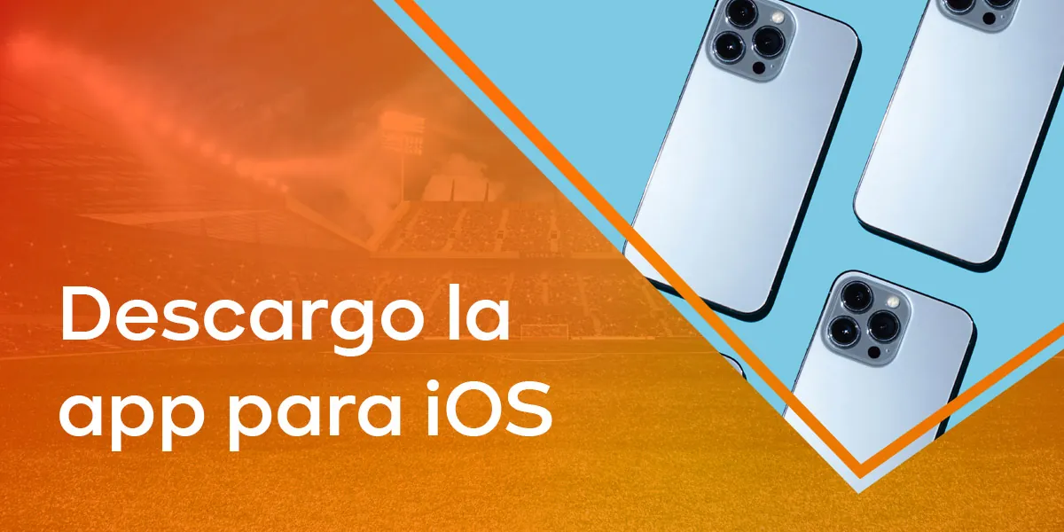 Instrucciones paso a paso para descargar